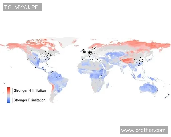 深入分析成都攀岩队的进攻策略与战术布局探讨